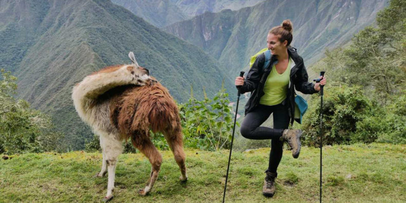 mum and llama enjoying their family tours to peru