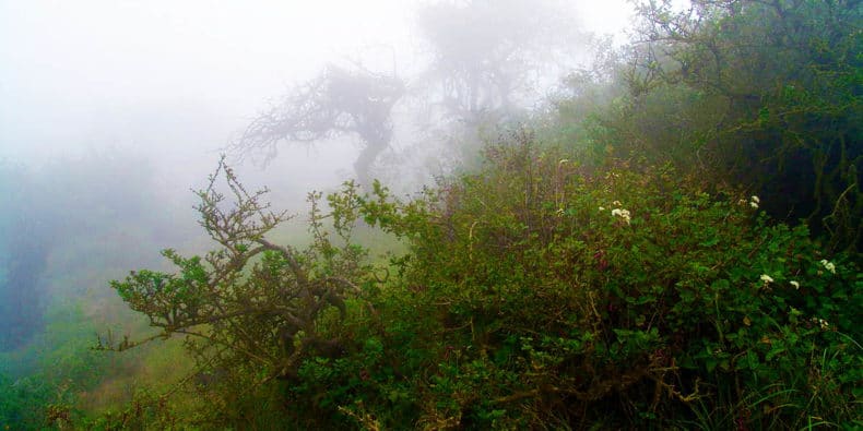 Atiquipa Lomas trek near lima