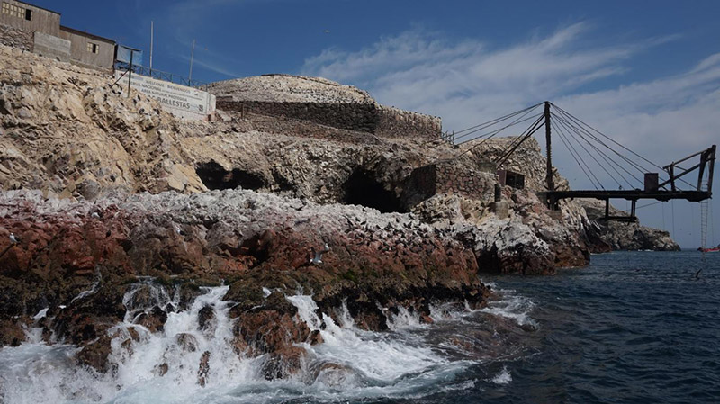 Day Trip From Lima - Islas Ballestas