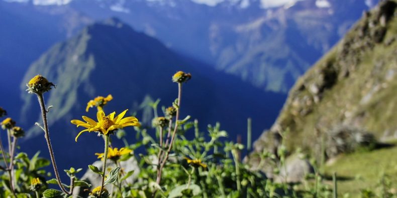 trek à la cité de Choquequirao