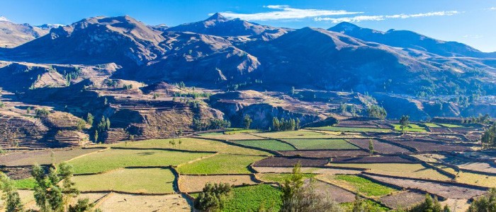 Colca Canyon 2 Day Trek Guide 2020