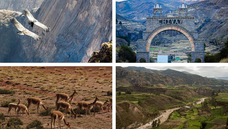 fotos da trilha de 3 dias no vale do colca