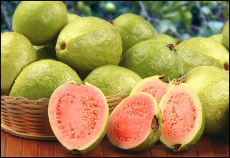 Guava