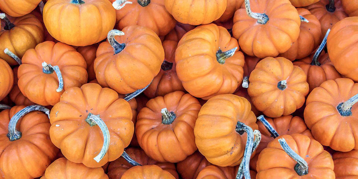 halloween in peru