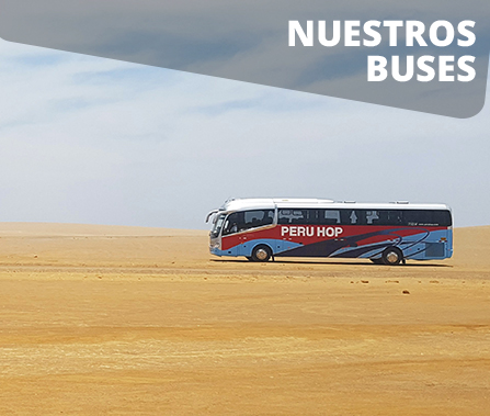 Nuestros Buses