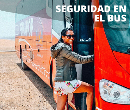 Seguridad en el bus