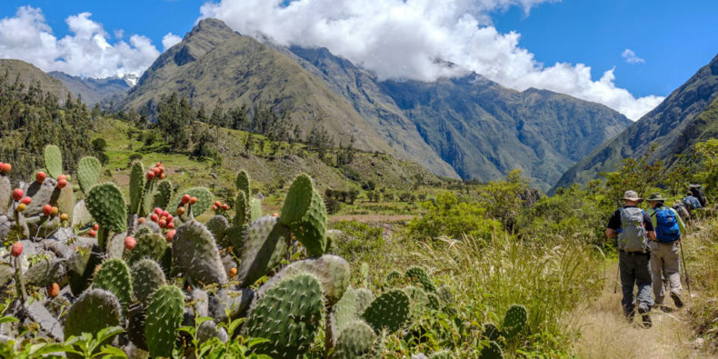 Groupe de marcheurs sur le Chemin de l'Inca (Inca Trail).