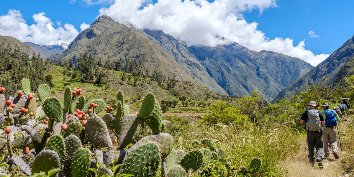 Un groupe de marcheurs sur les sentiers du Chemin de l'Inca (Inca Trail).