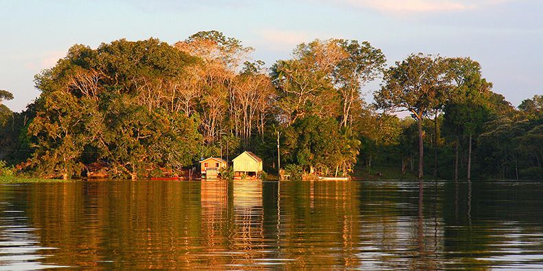 landscape of iquitos