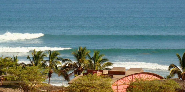 Vue sur la plage de Los Organos avec ces cocotiers et ses vagues.