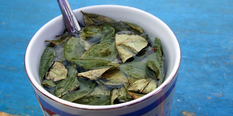 taza de mate de coca para contrarrestar el mal de altura