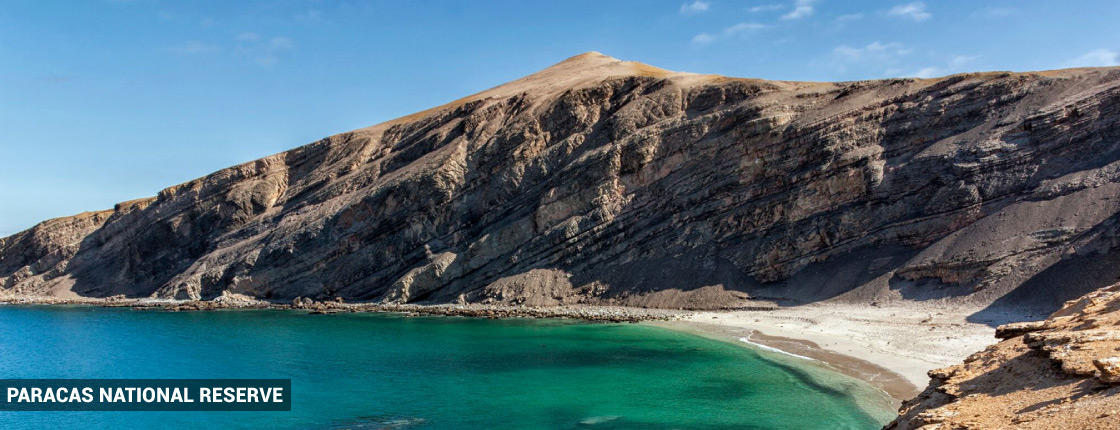 tours en perú: paracas