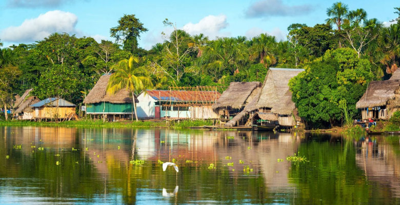 Peruvian Amazon