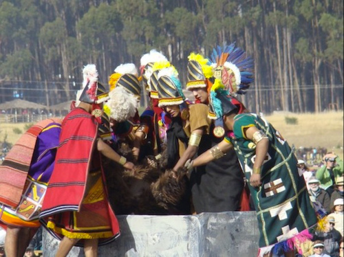 Inti Raymi Festival - Llama being sacrificed