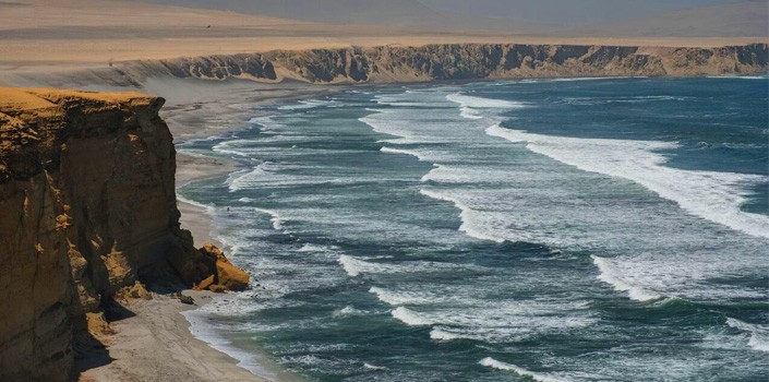 tudo sobre o peru - Reserva Nacional de Paracas