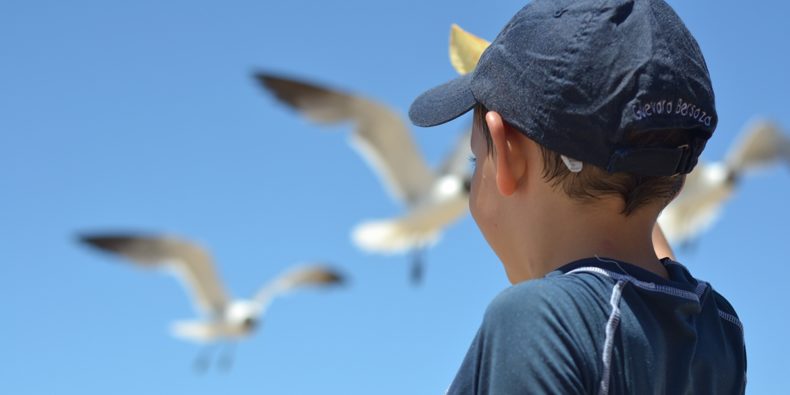 niño viendo gaviotas - viajar con niños en perú